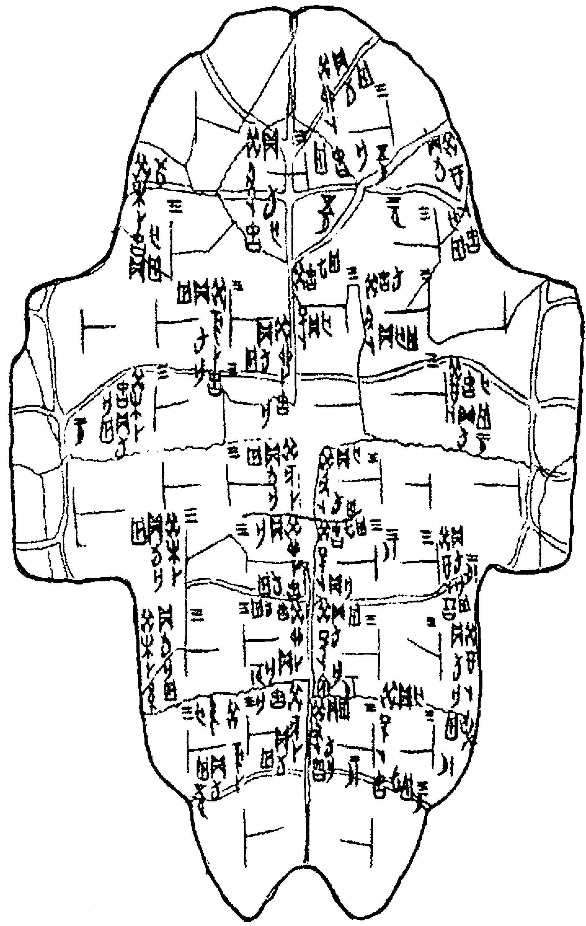 Carapaça de tartaruga com inscrições adivinhatórias